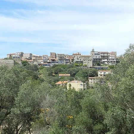 Cita Di Sali